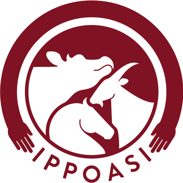 Ippoasi